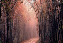 悟空体育：[NBA]萨尔21分5篮板 奇才主场战胜爵士.