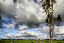 悟空体育:主场惨败30分太阳附加赛席位不稳 仅凭交手优势暂列西部第十.